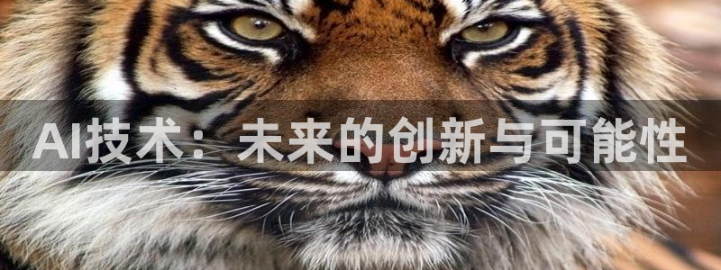 AI技术：未来的创新与可能性